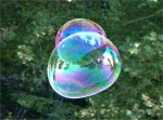 Soap_Bubble_-_foliage_background_-_iridescent_colours_-_Traquair_040801.jpg