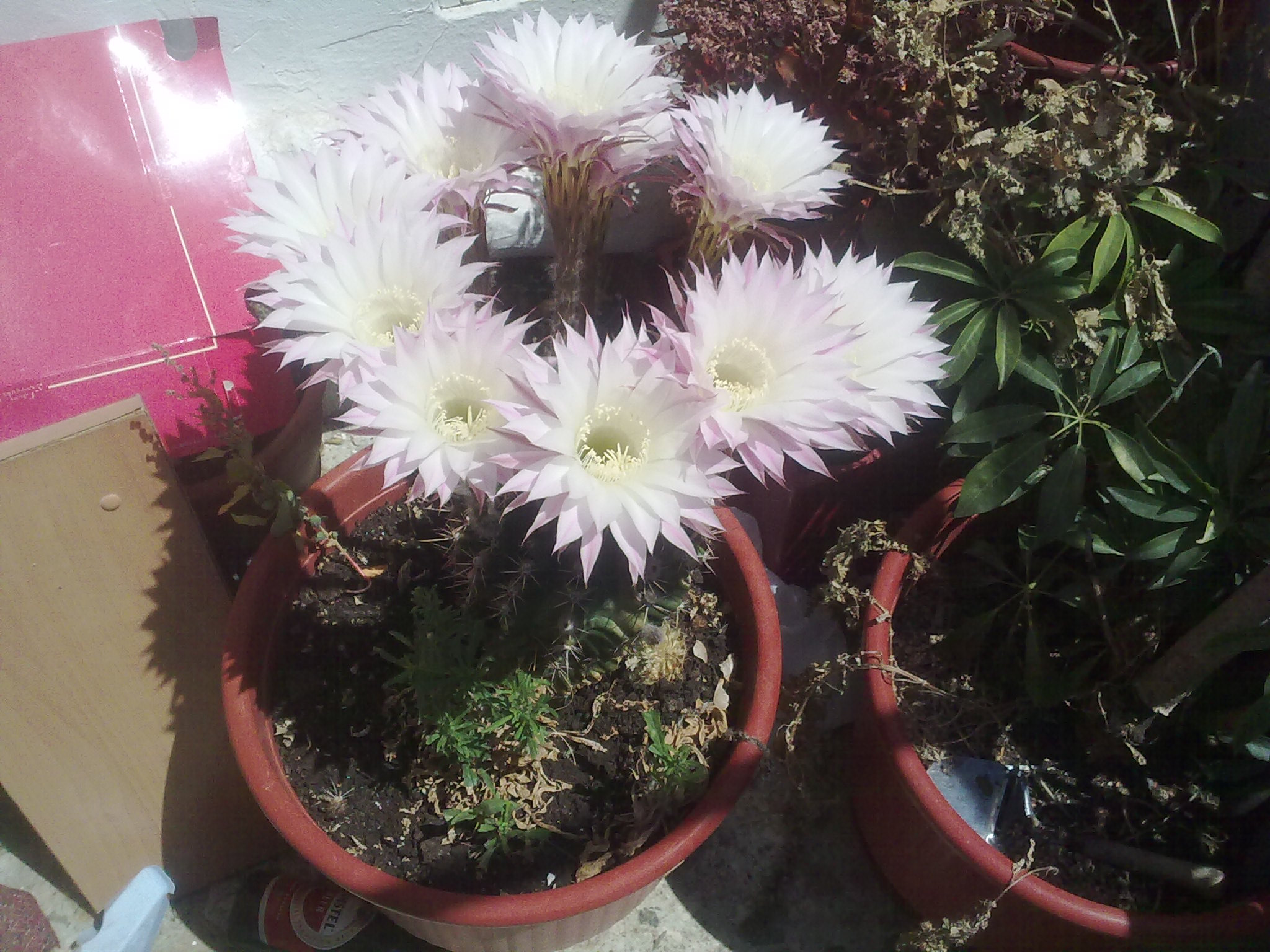 03052010136.jpg
