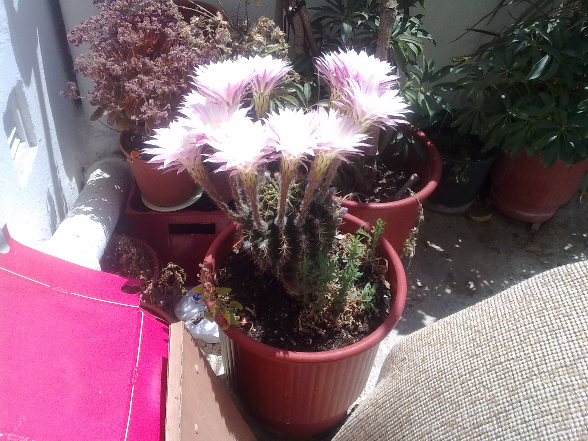 03052010138.jpg