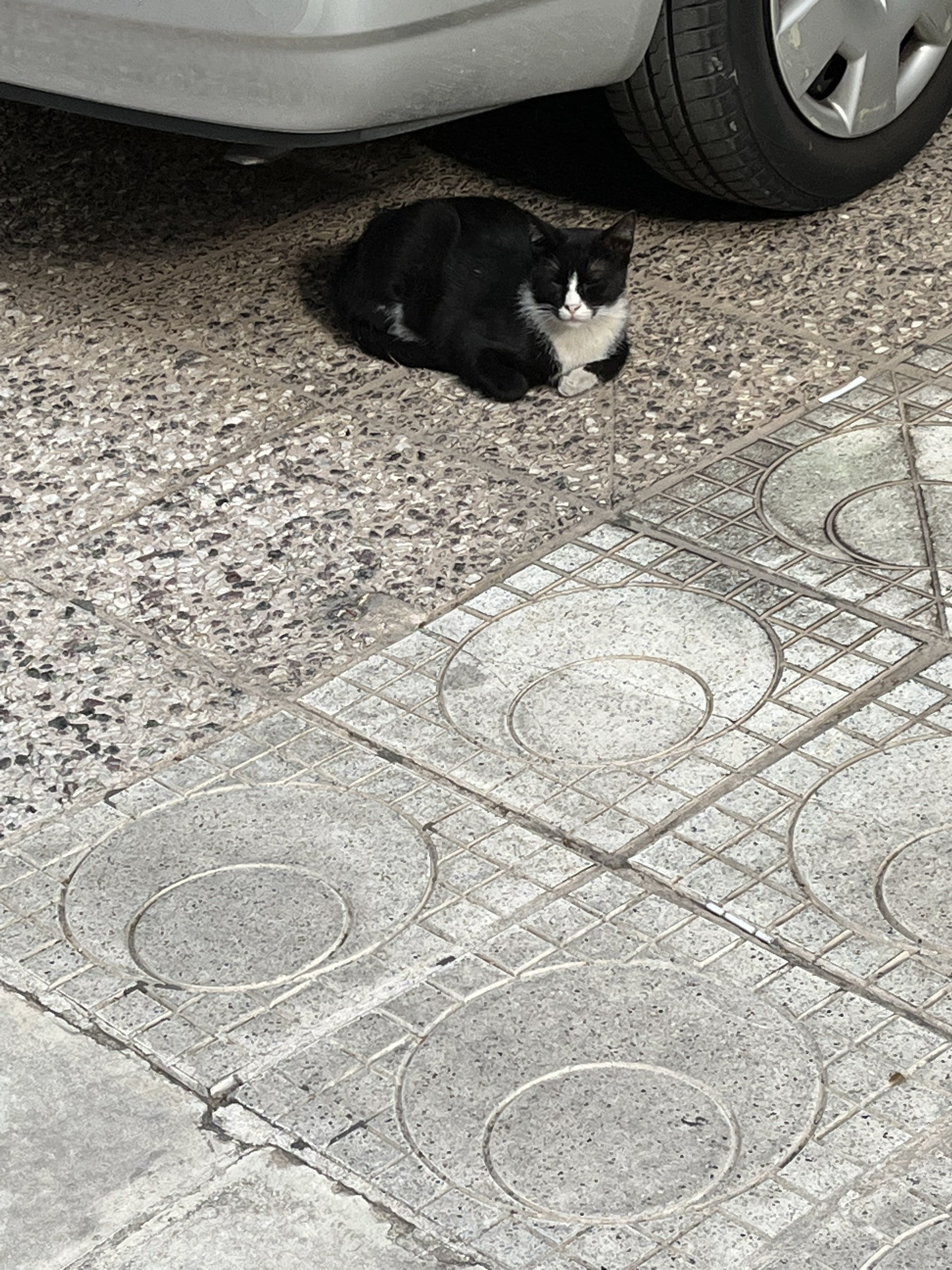 03D022EF-A686-4DDA-99B9-5683867DA7C6.jpeg