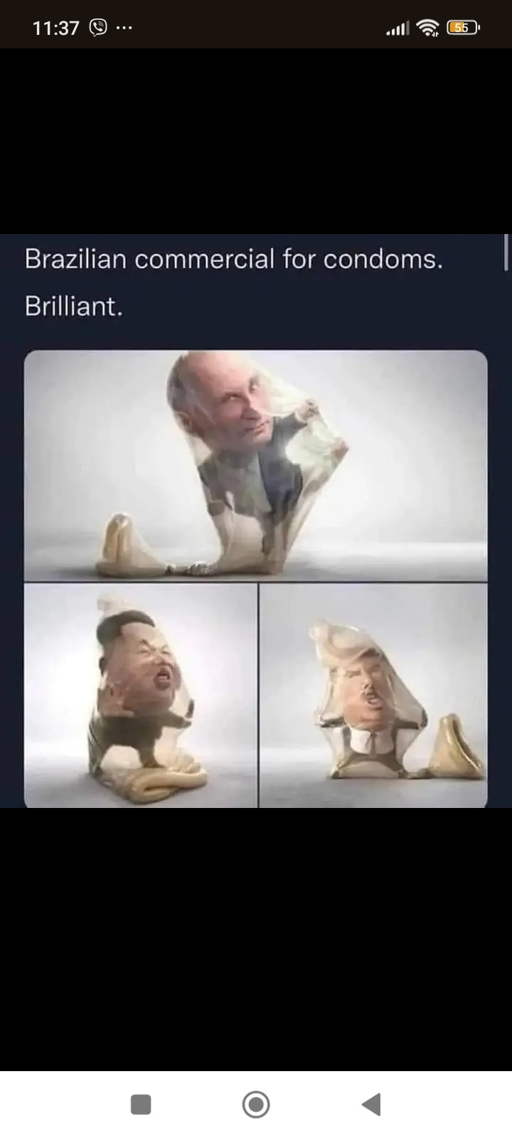 1000003461.jpg