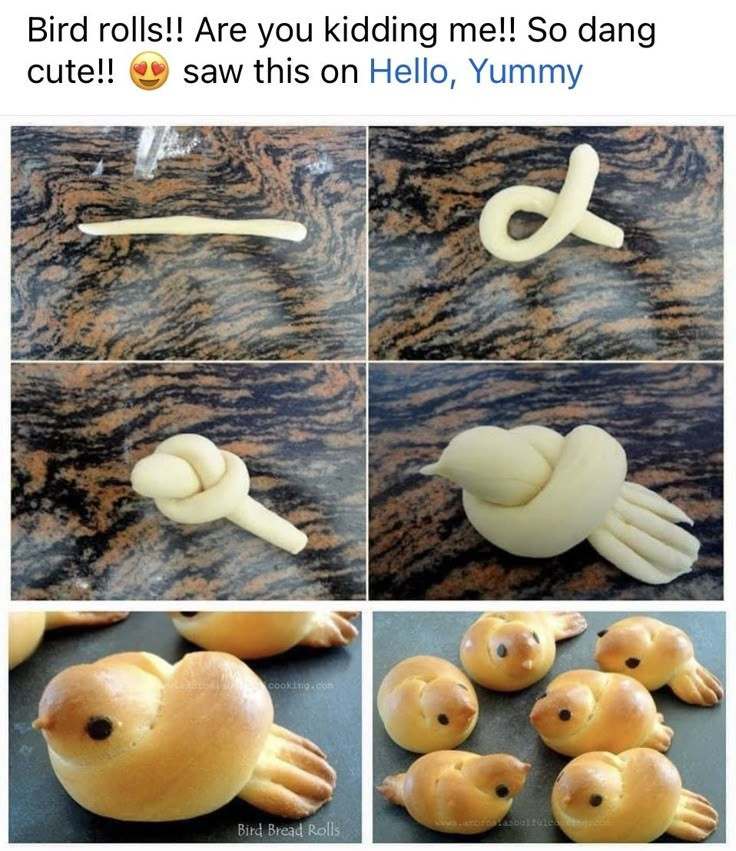 1000029081.jpg
