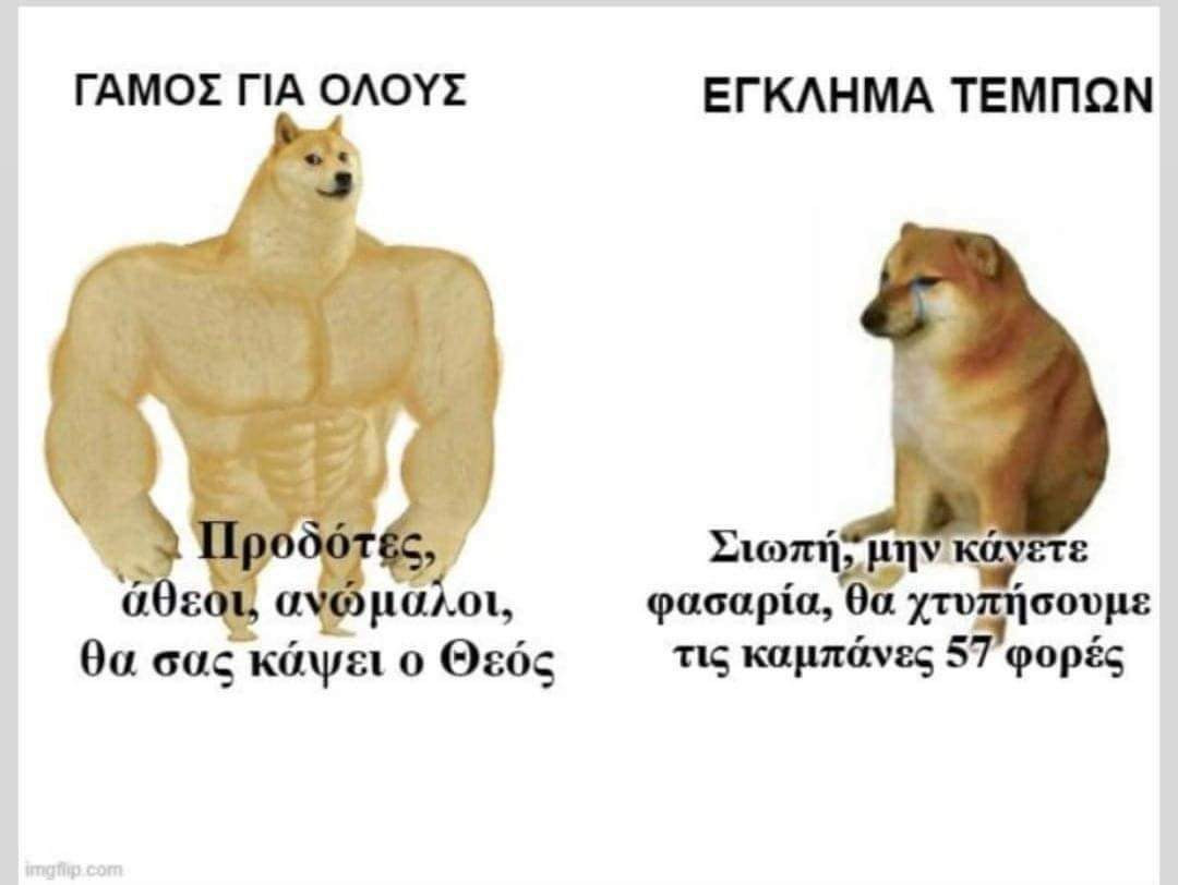 1000055176.jpg