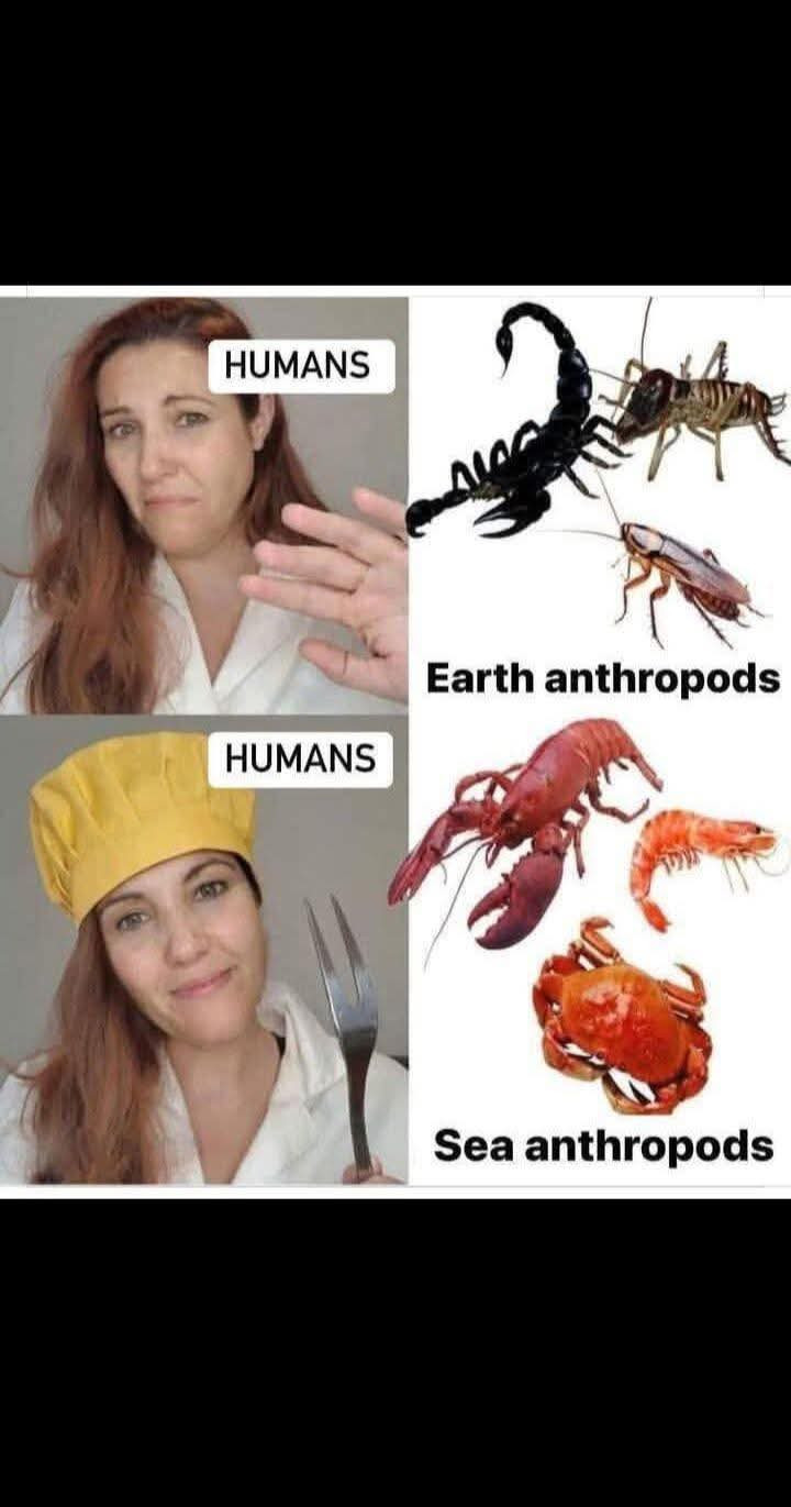 1000056308.jpg