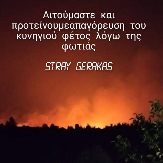 1628759804542.png