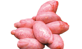 1633030437874.png