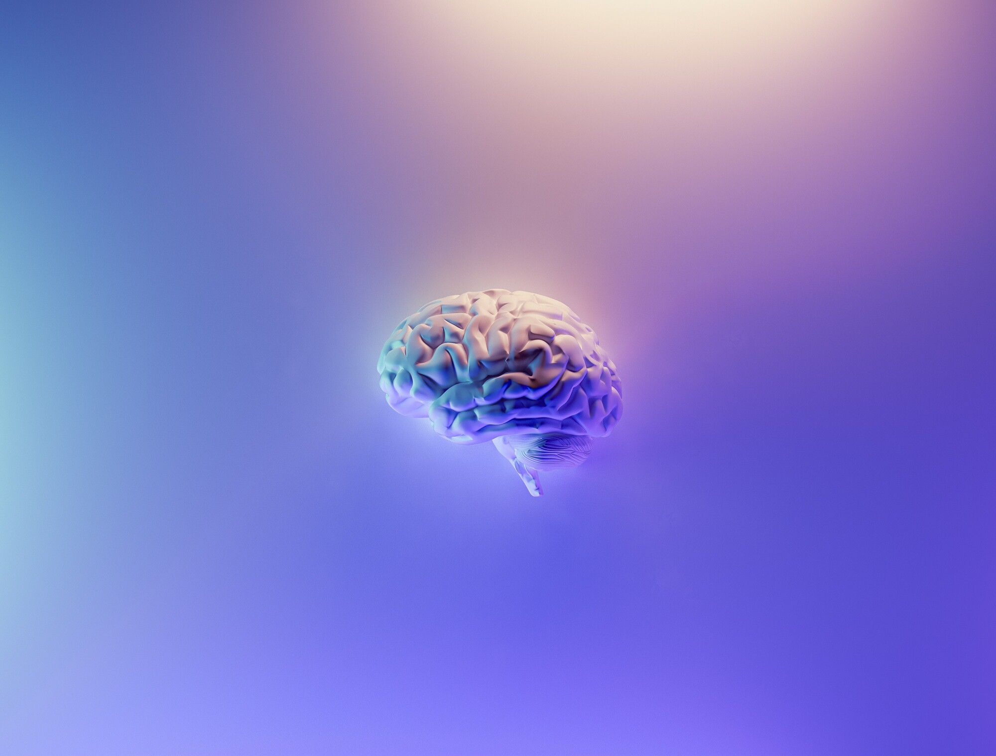 1639071001281.png