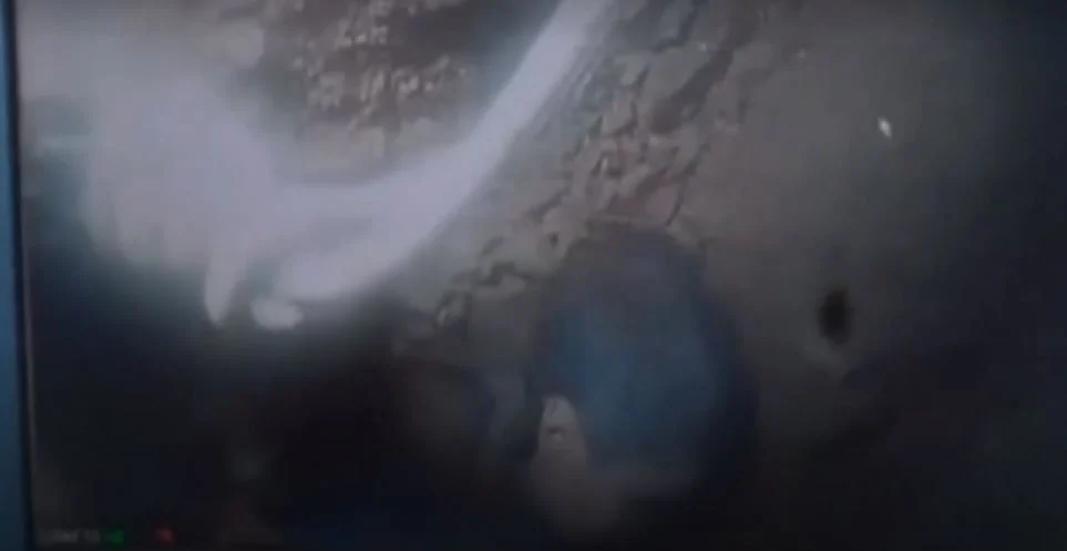 1644061653369.png