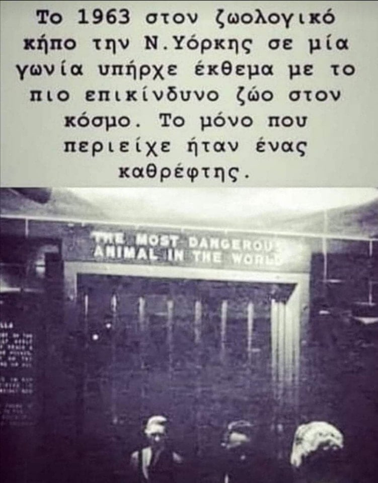 1646635481902.png