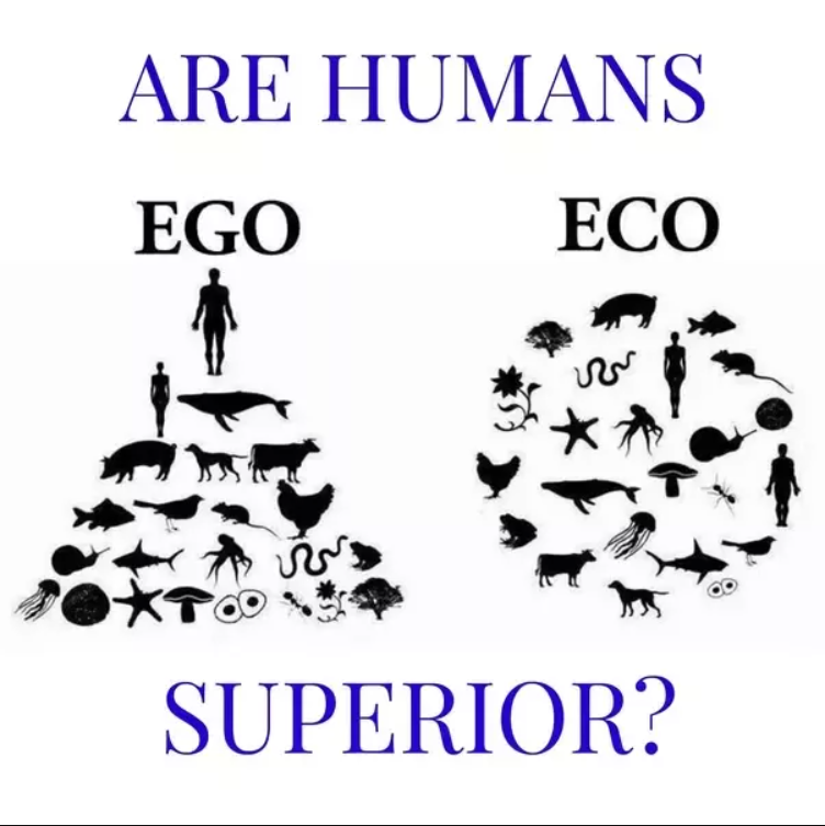 1647780963453.png