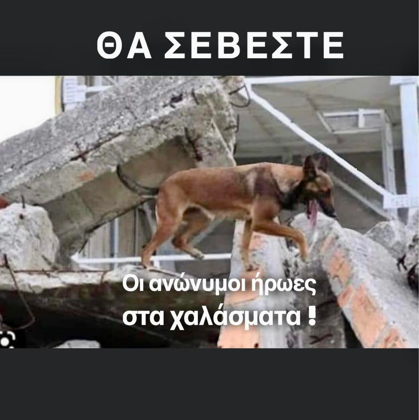 1675787675260.png