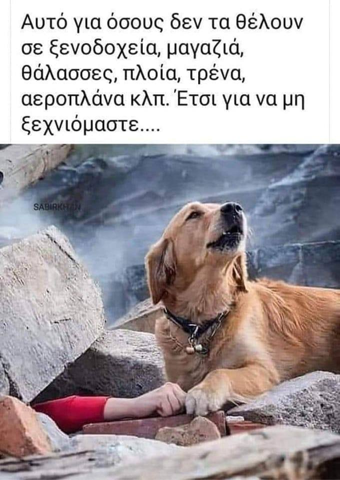 1675966880498.png