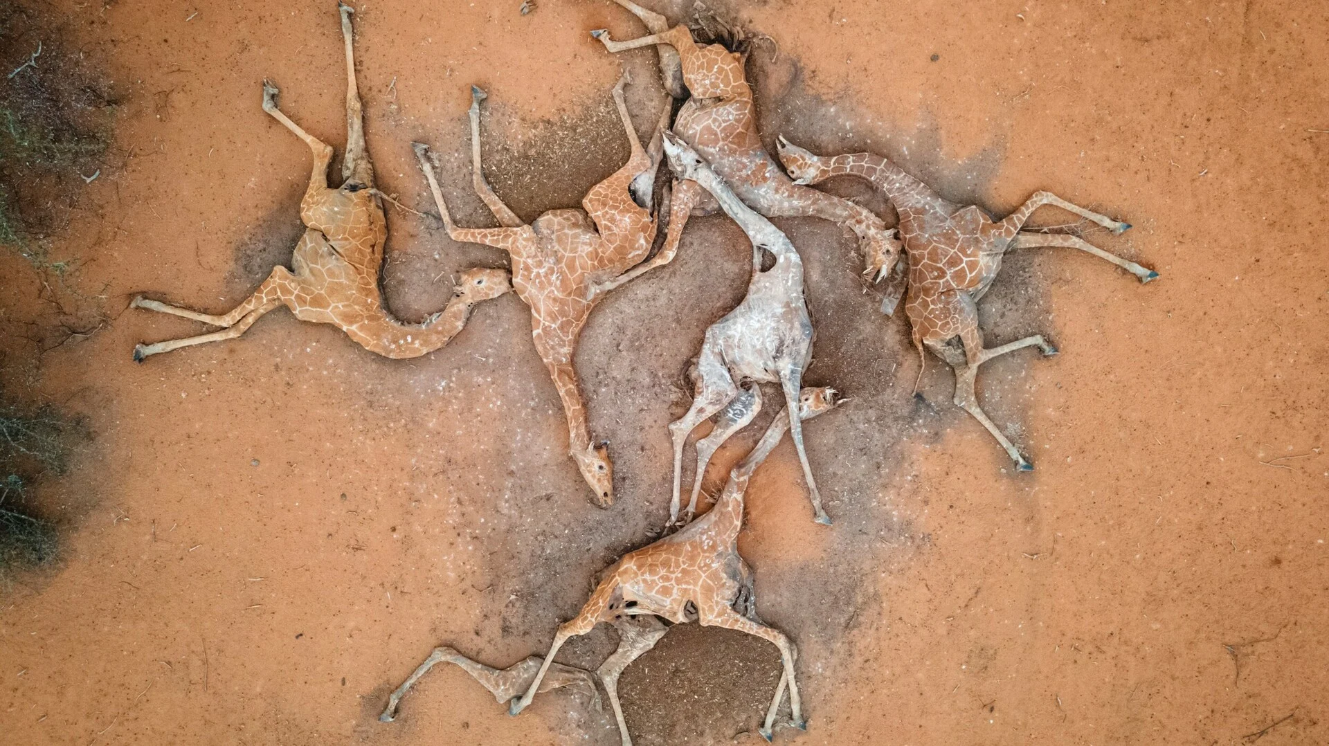 1680370067030.png