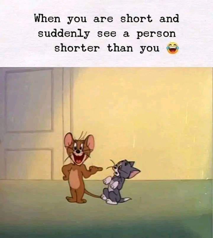 1688983084154.png