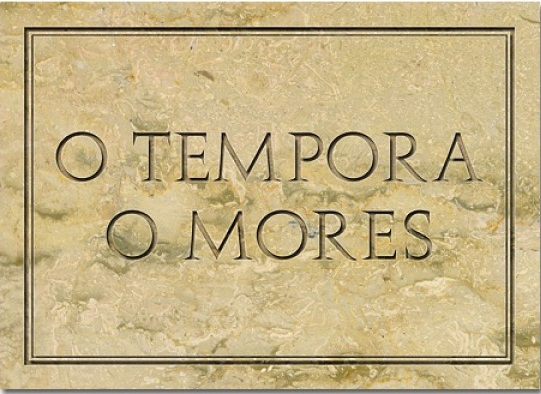 1694201686802.png