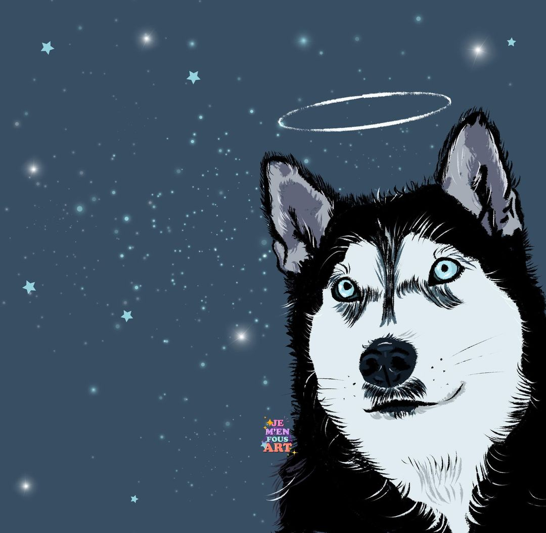 1701875086614.png