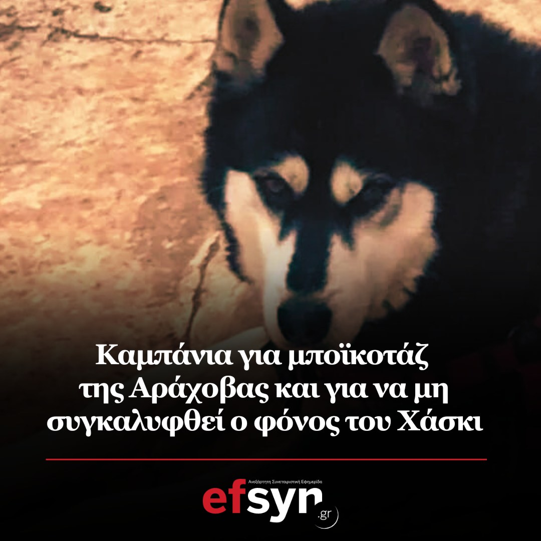 1701879564687.png