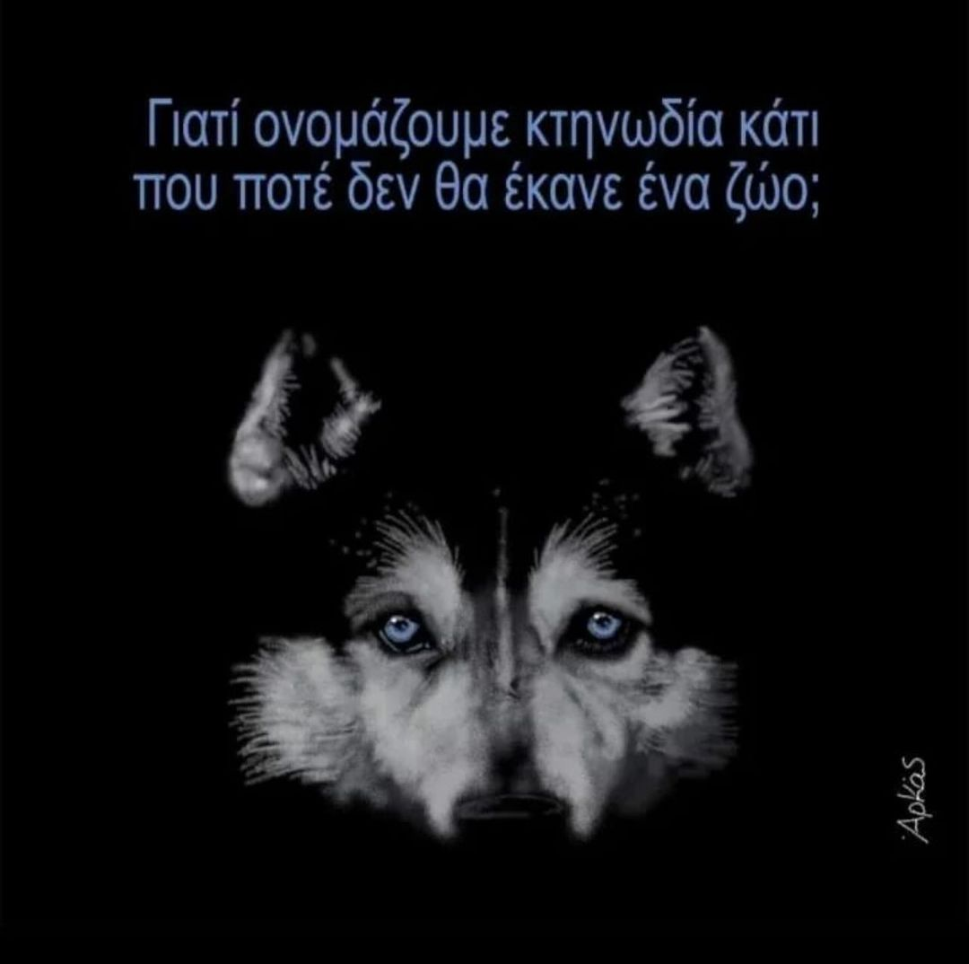 1702051473048.png