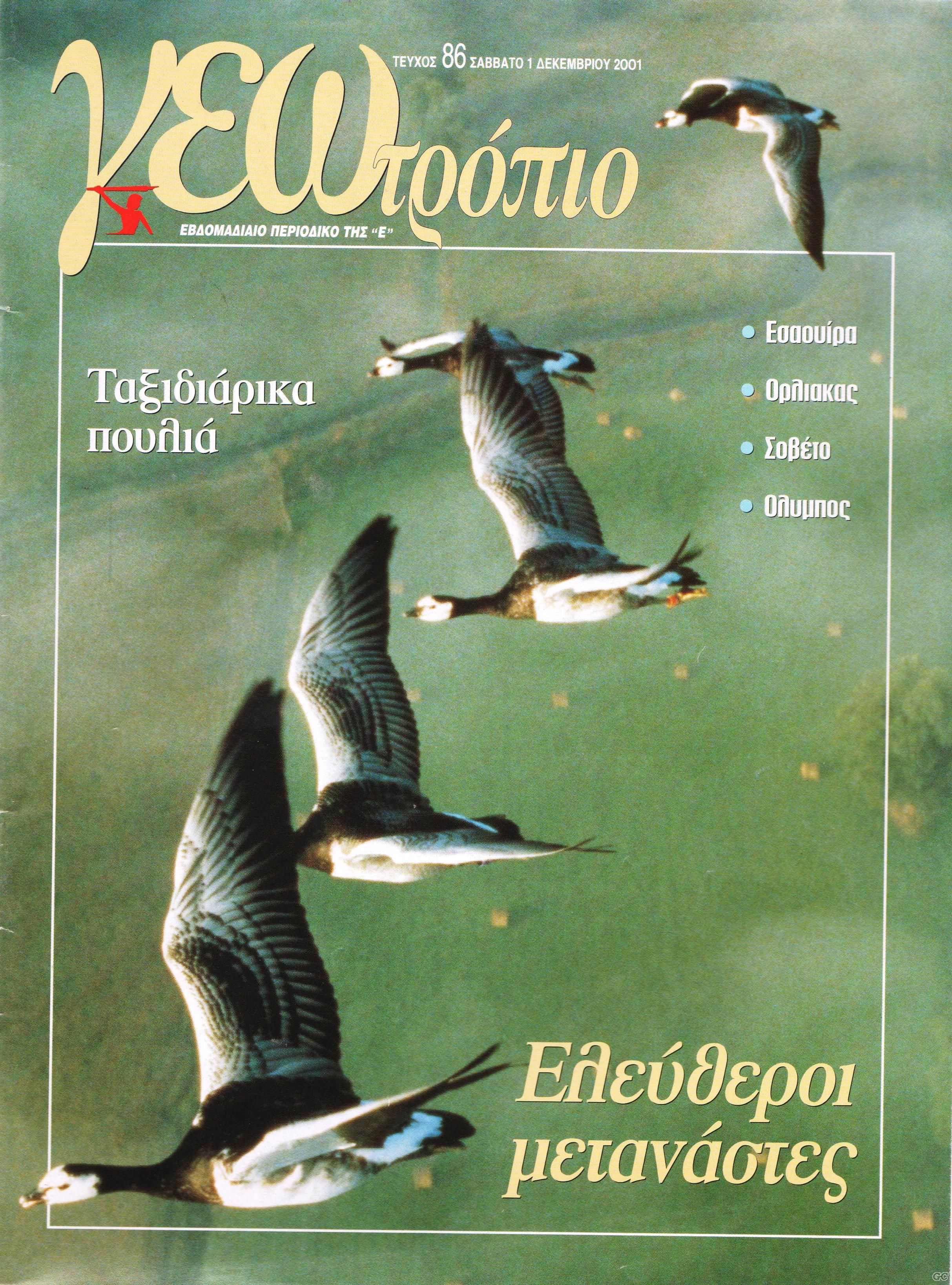 1707012649405.png