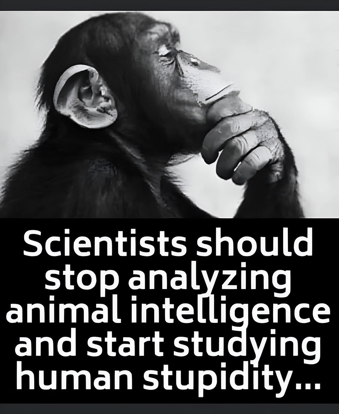1712685063231.png