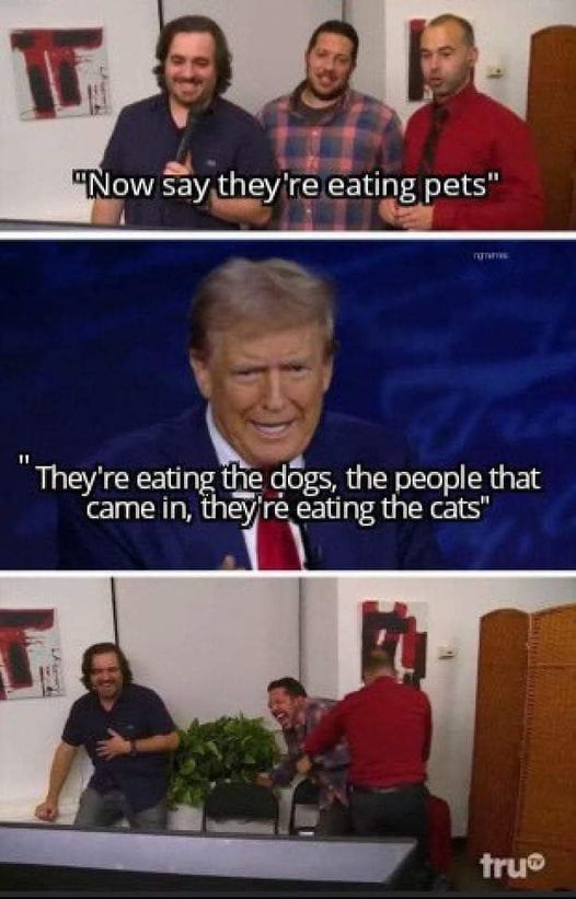 1726178835080.png