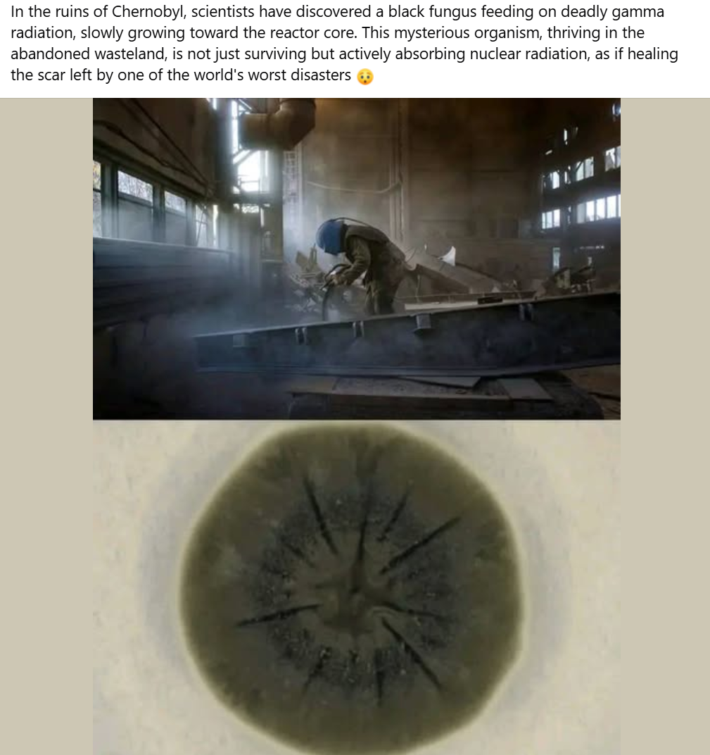 1734224239307.png