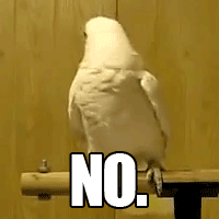 1738172626853.gif