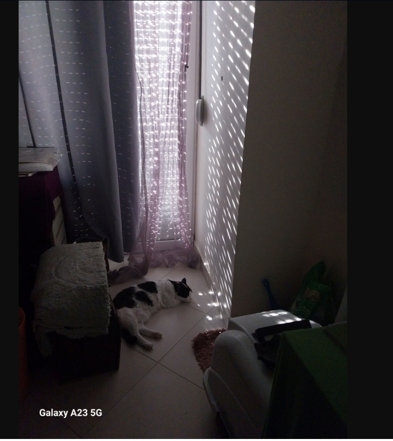 1753546034614.png