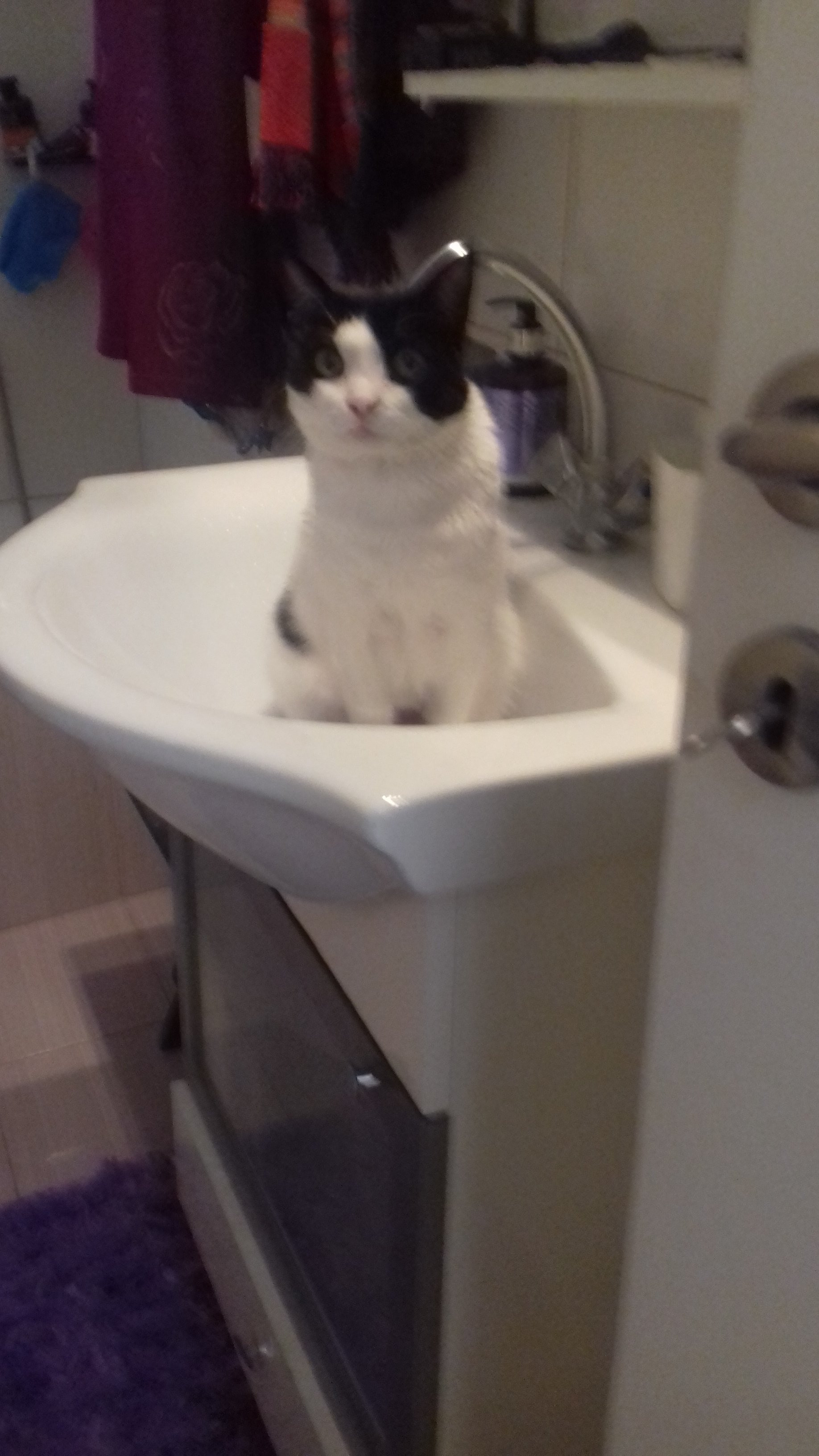 20180206_095333.jpg