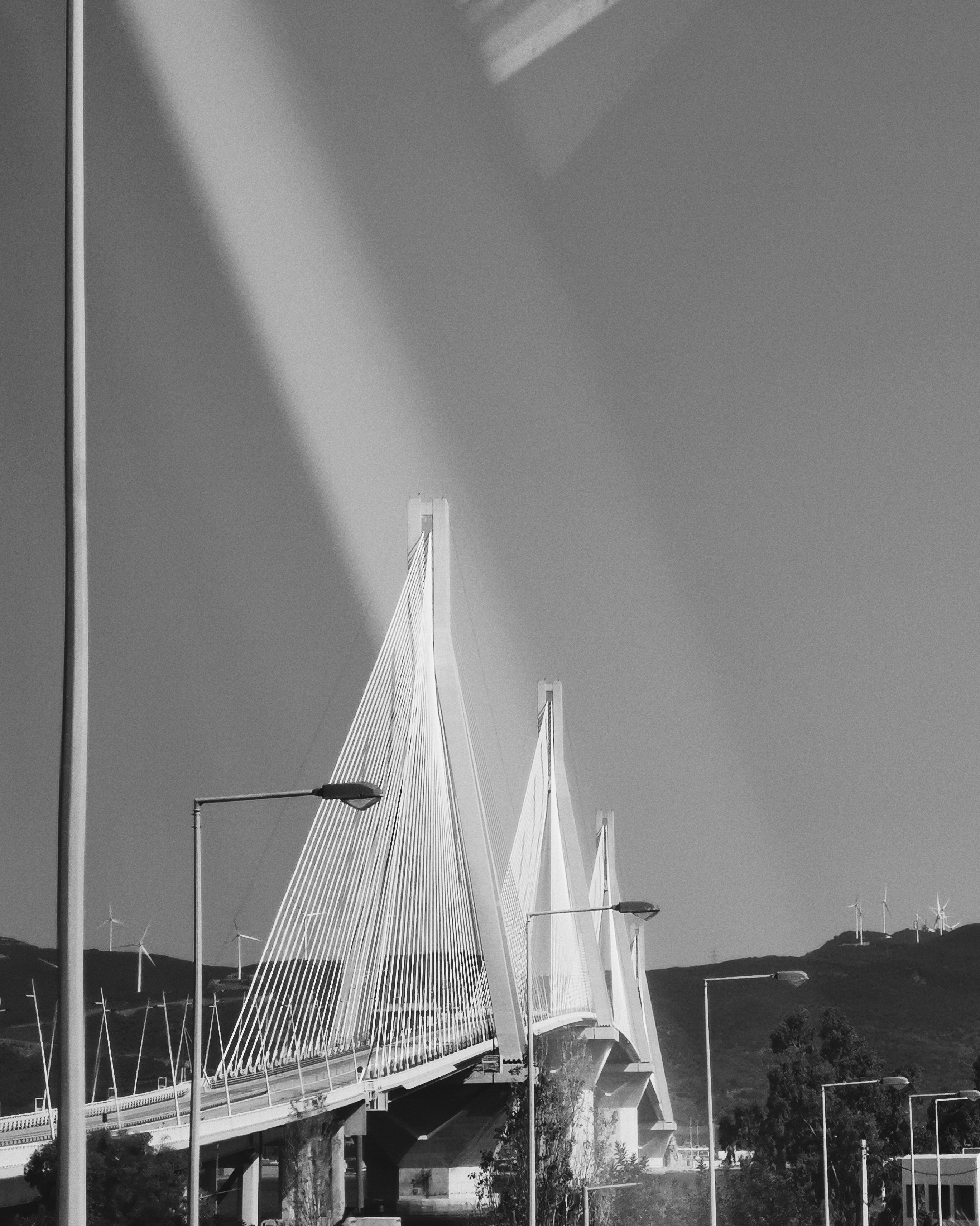 2021-05-22-050052579.jpg