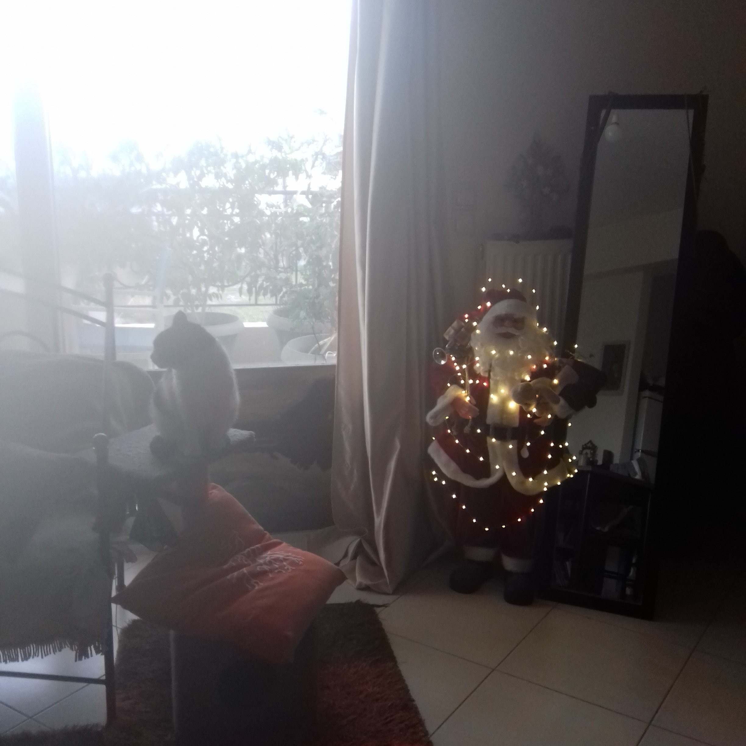 20211127_122024.jpg