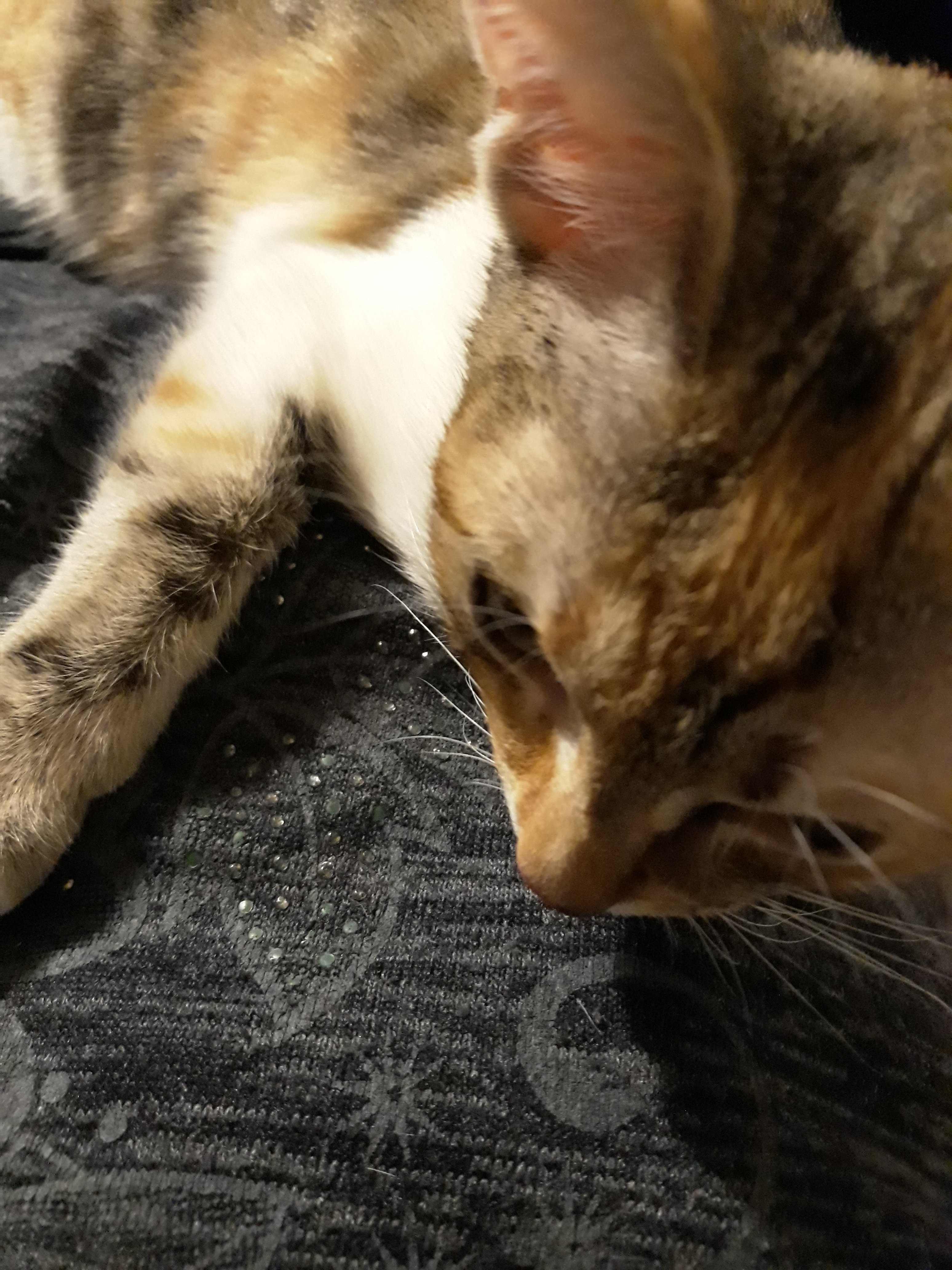20211229_030207.jpg