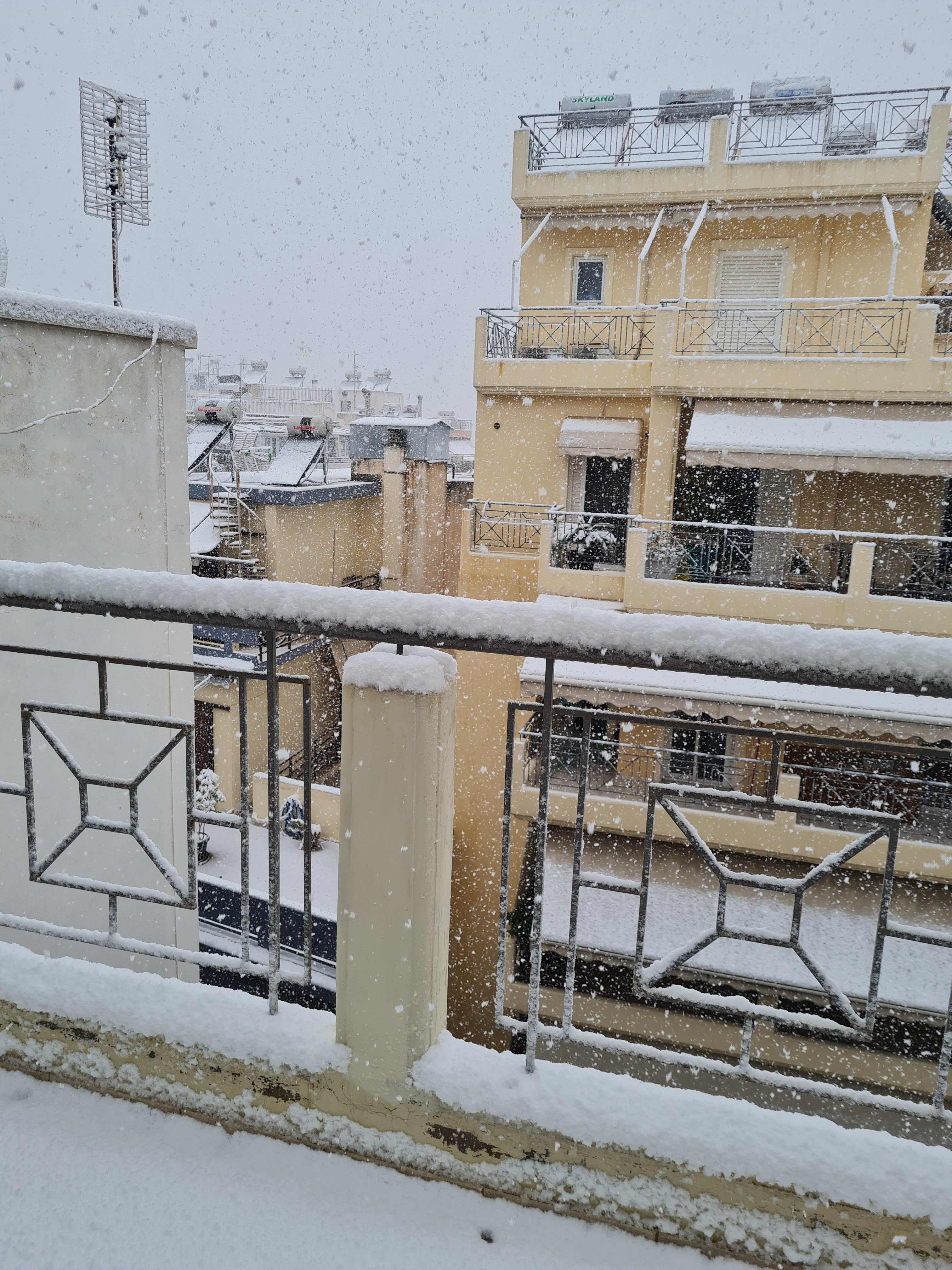 20220124_141811.jpg
