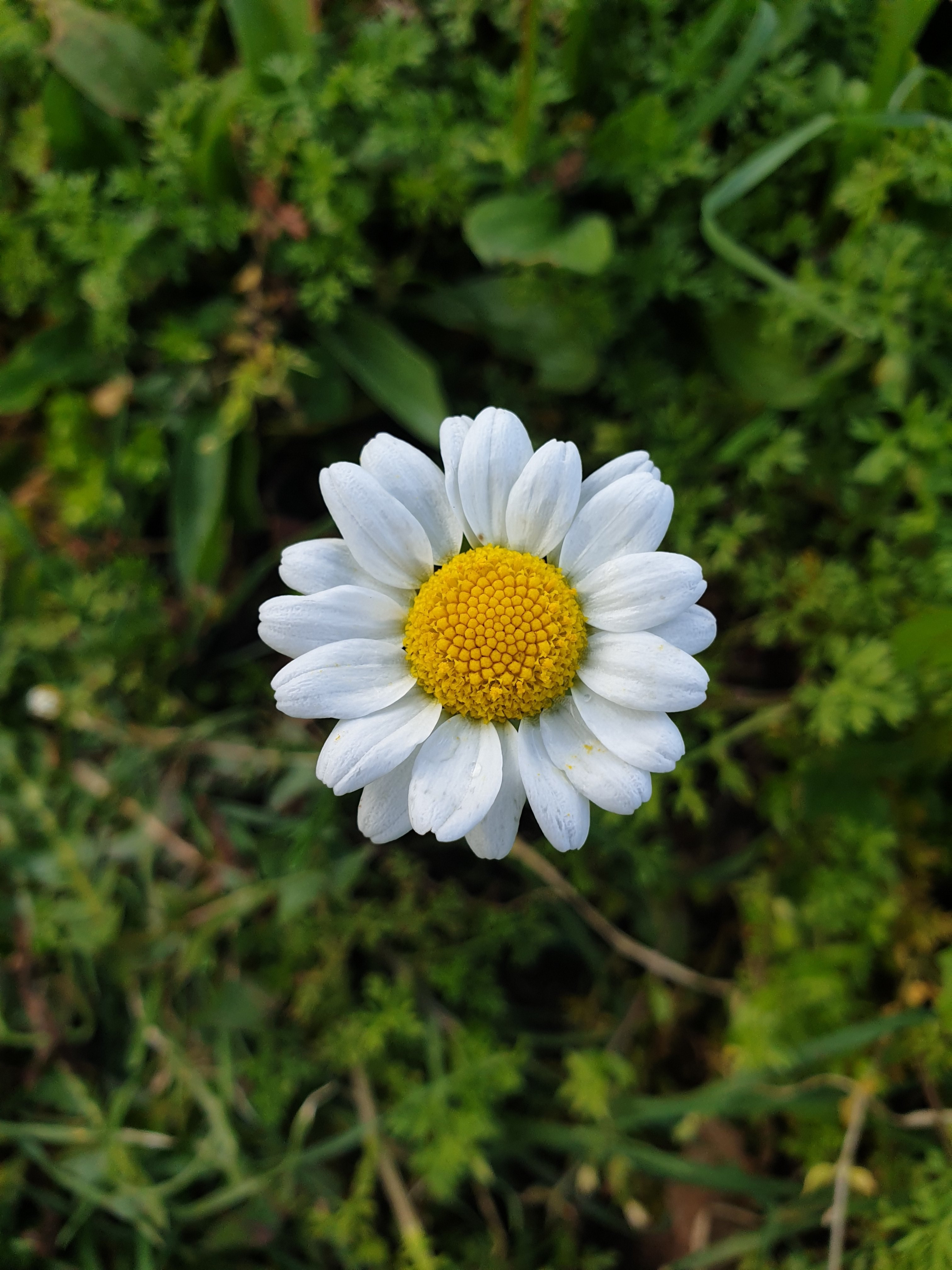 20220307_142307.jpg