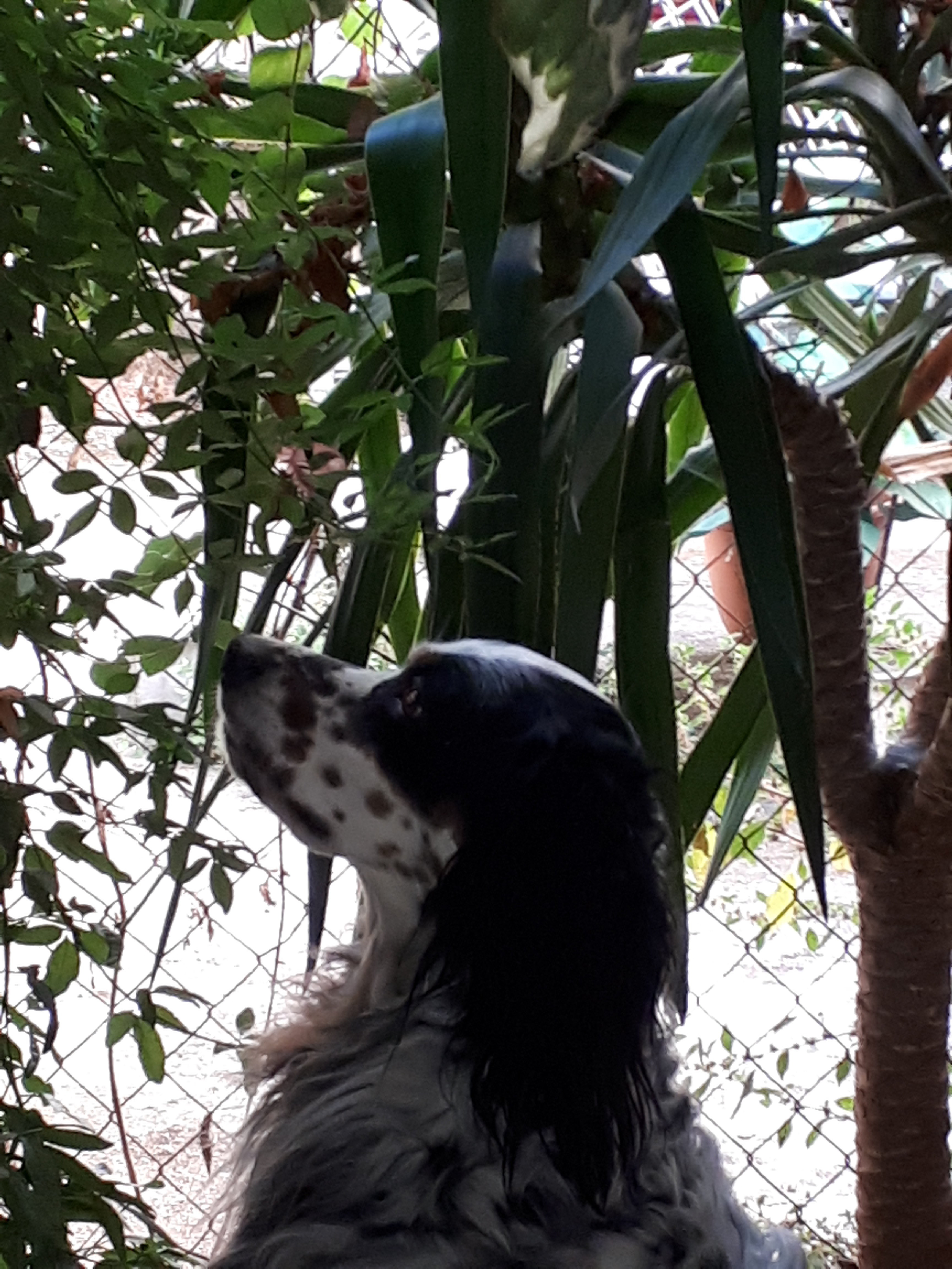 20220705_074158.jpg