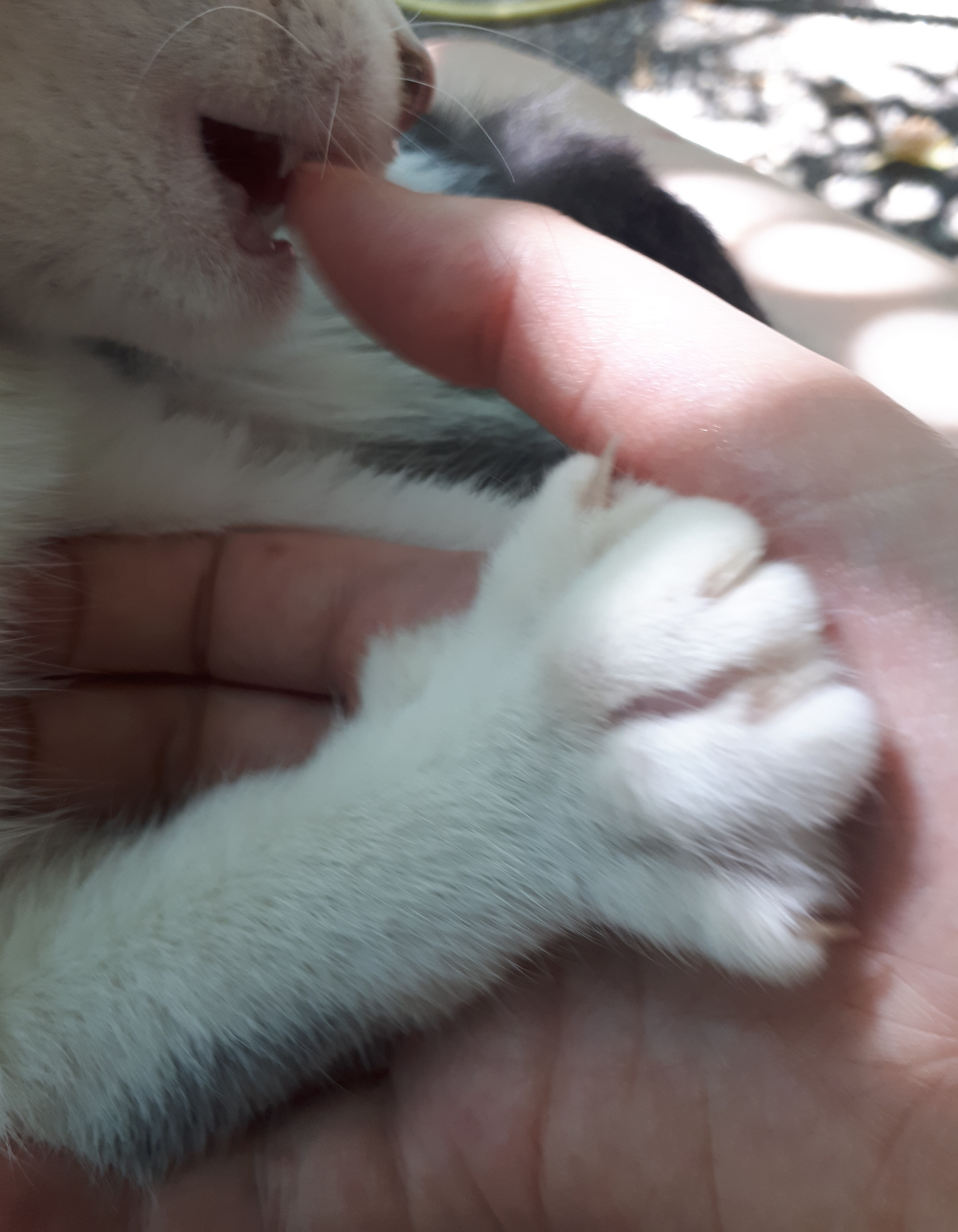 20220809_113023.jpg
