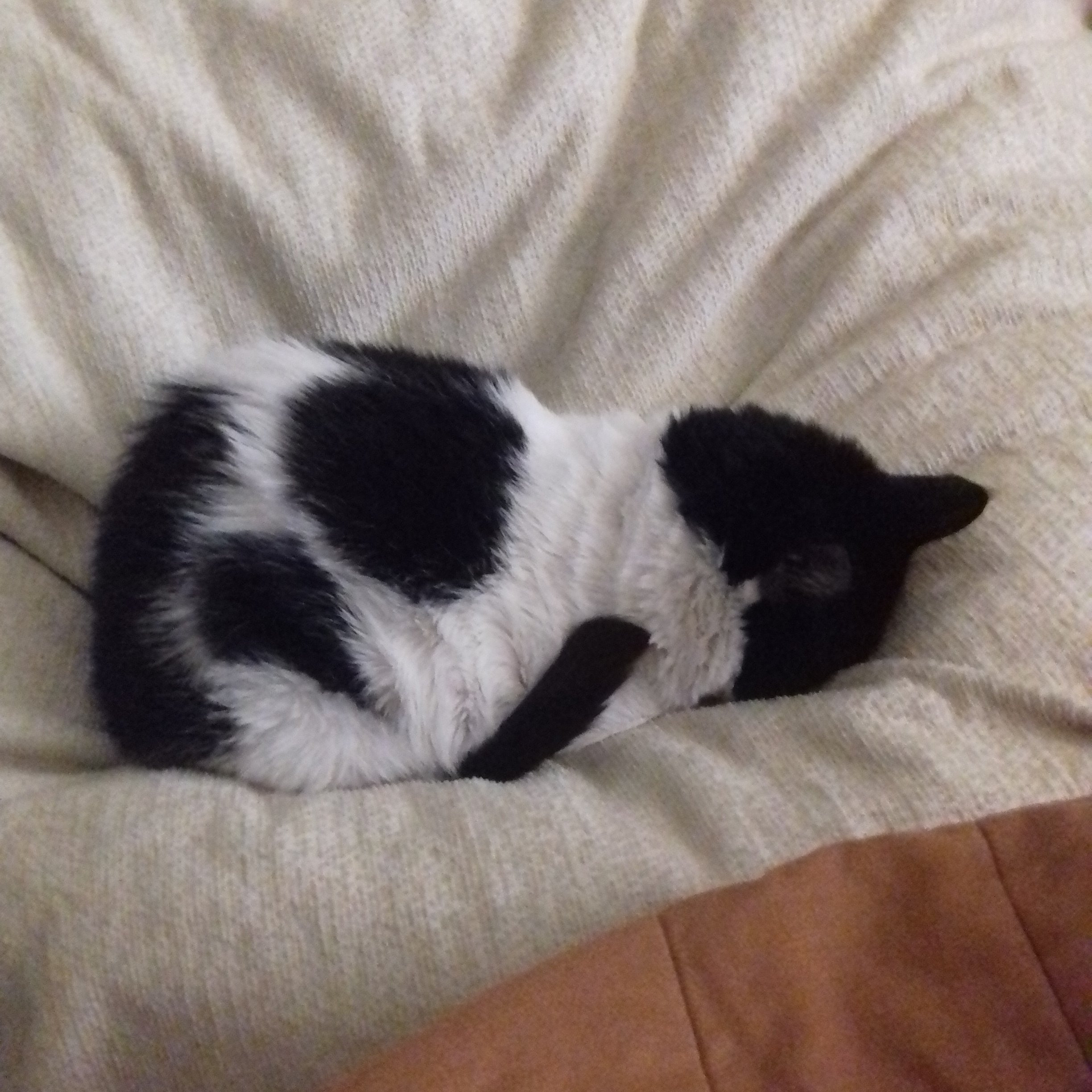 20221017_150512.jpg