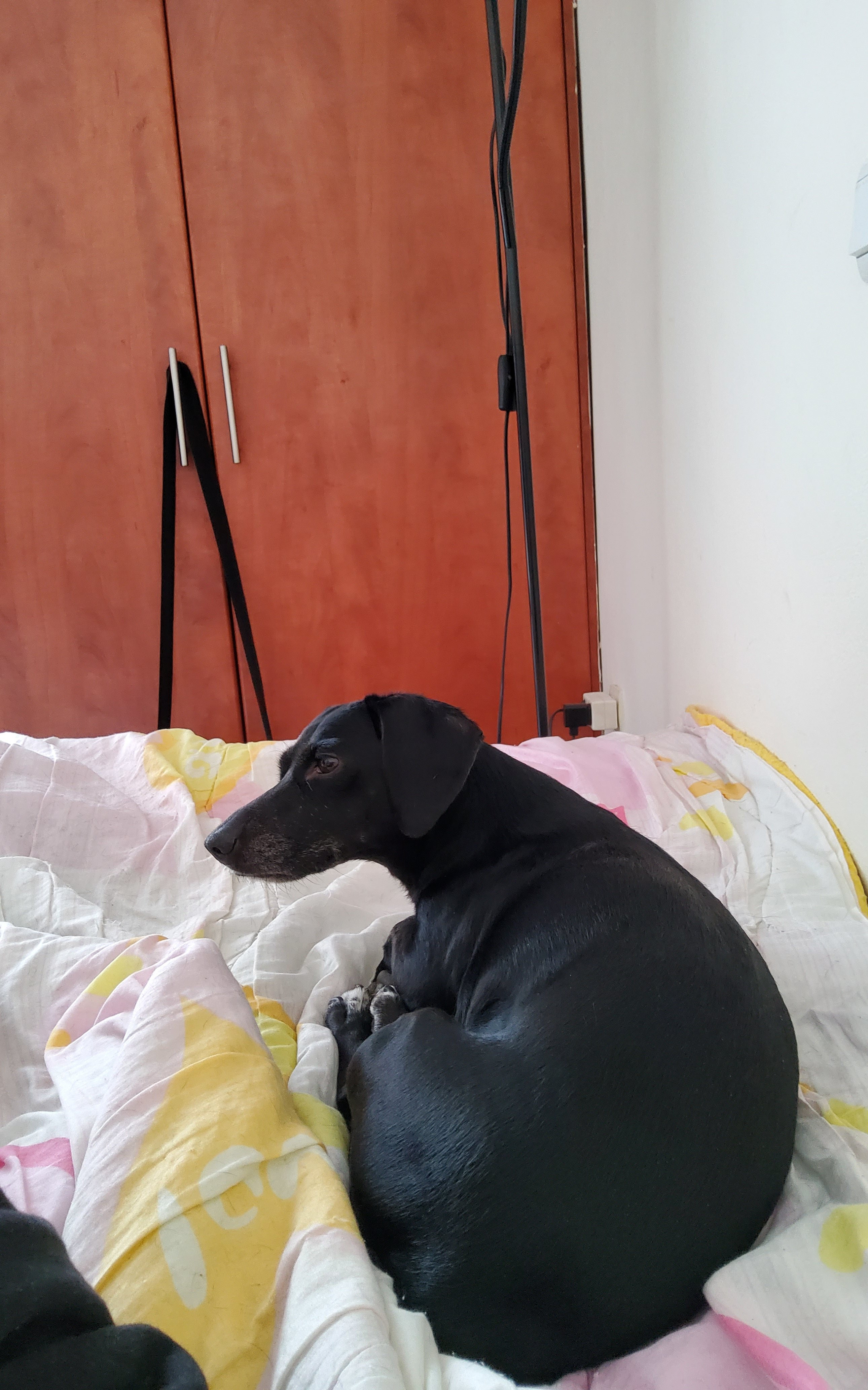 20230823_140052.jpg