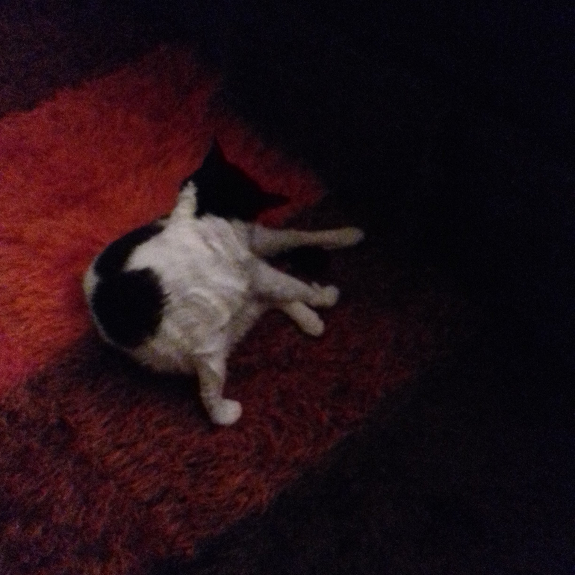 20231203_211253.jpg