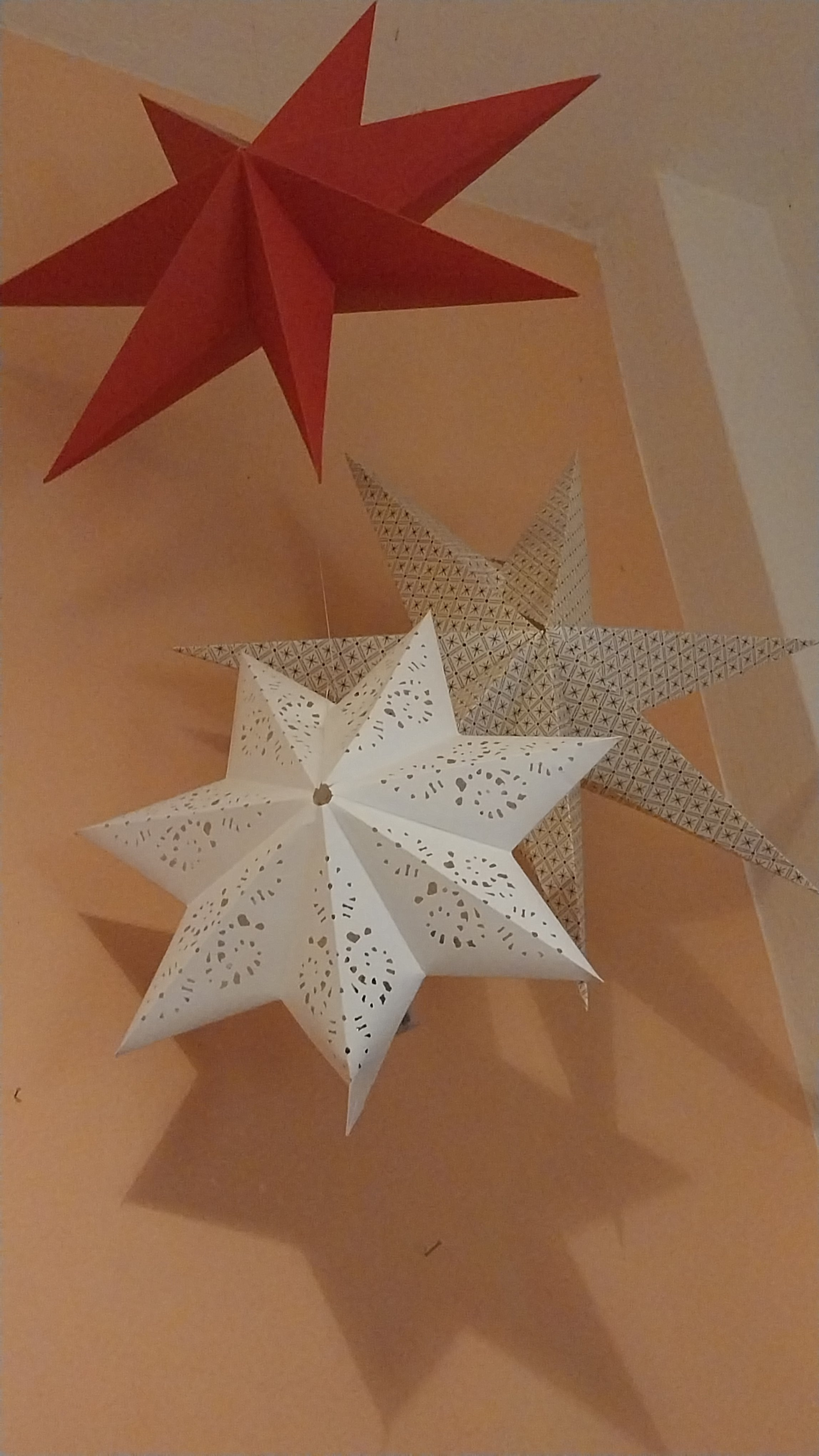 20240806_063802.jpg