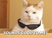 37044b512ee.gif