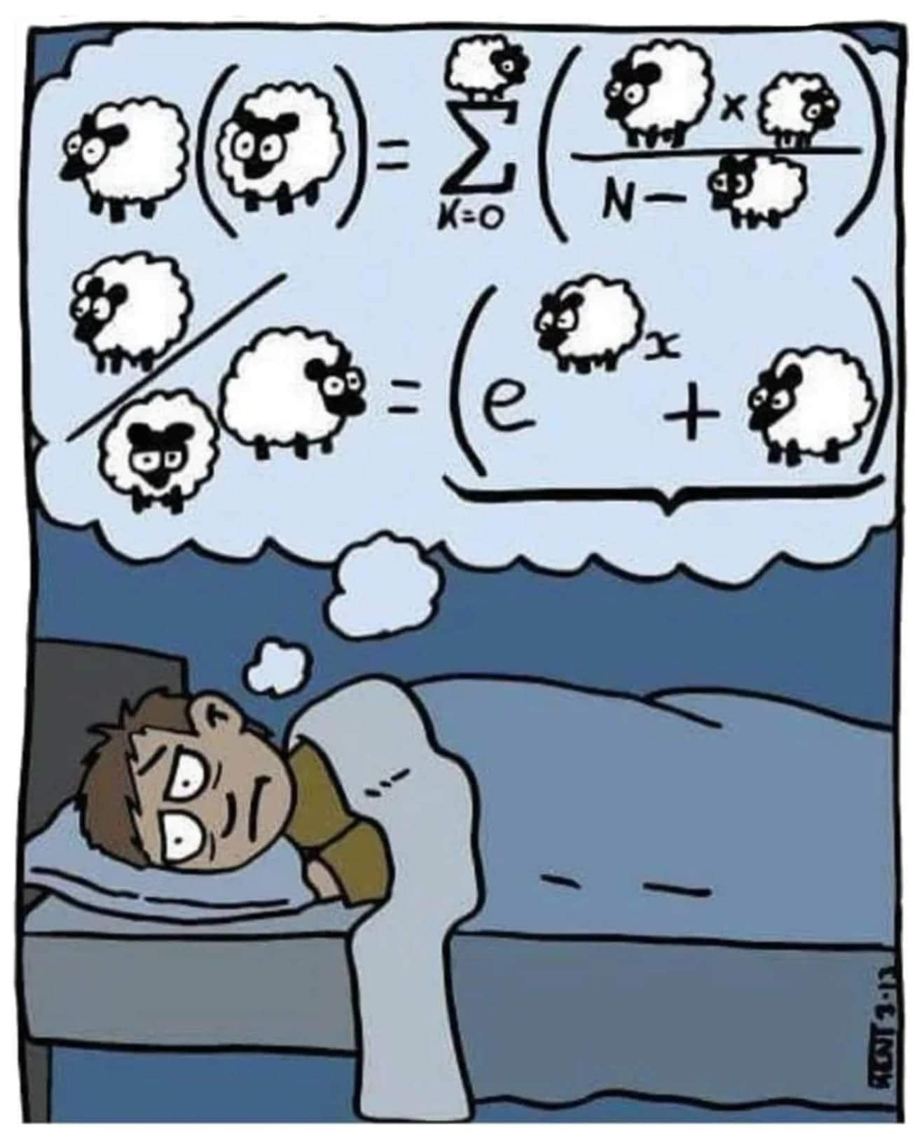 394351584_318914094221613_1176873674274907171_n.jpg