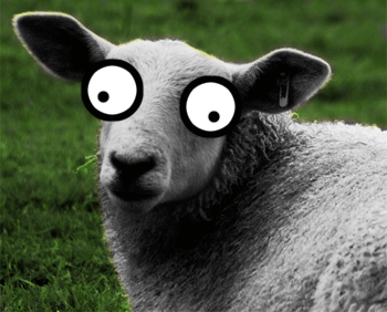 3a88146dba5.gif