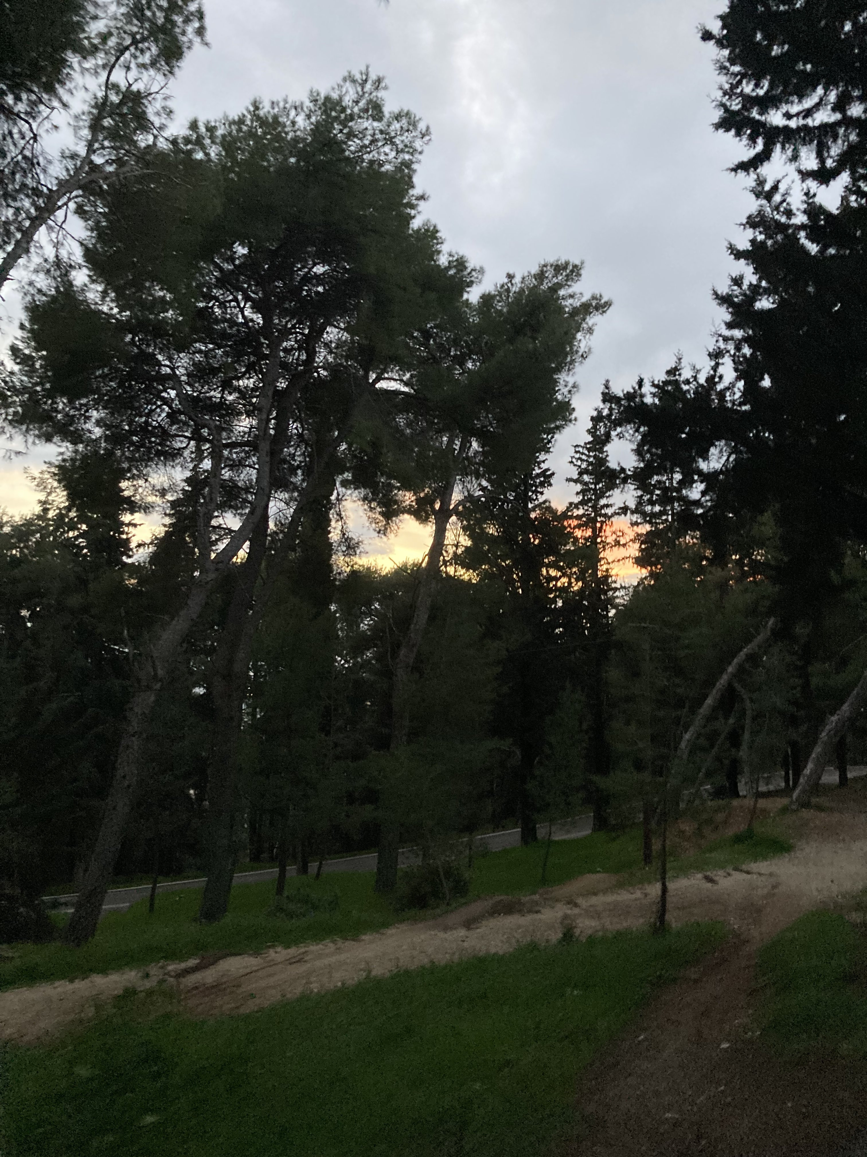 4048D096-C24B-4FD6-9976-4E0695FDCC14.jpeg
