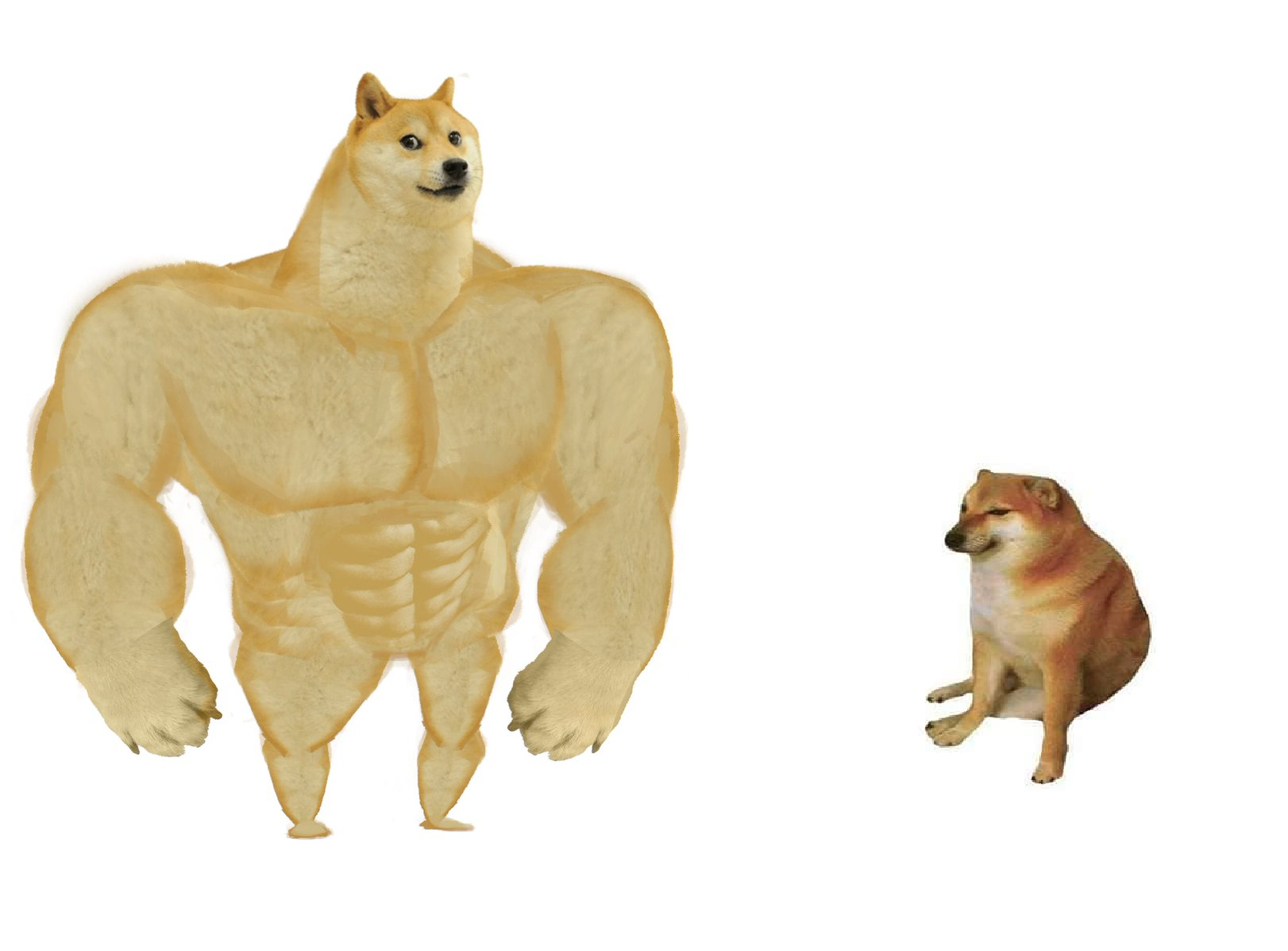 430zkq.png