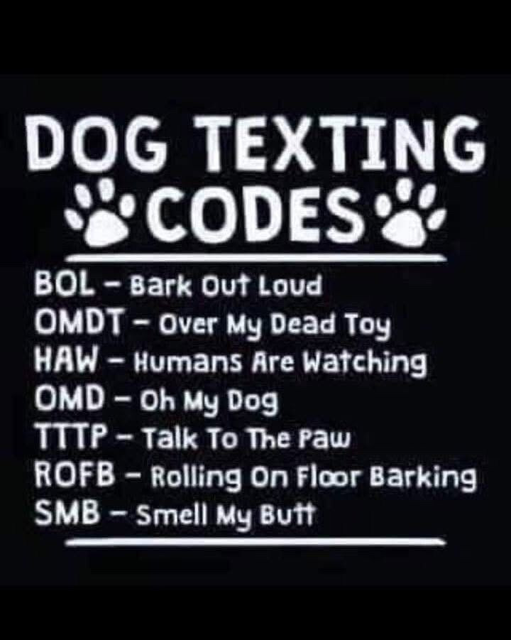 472751928_928091466101187_8983805113066567544_n.jpg