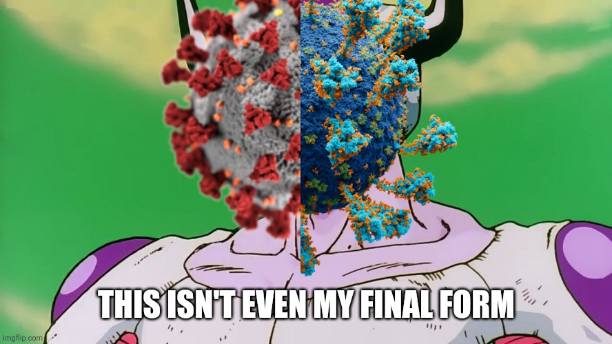 5ly2se.jpg