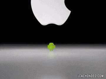 685343D7-D240-4822-90AD-7837CD47EEE9.gif