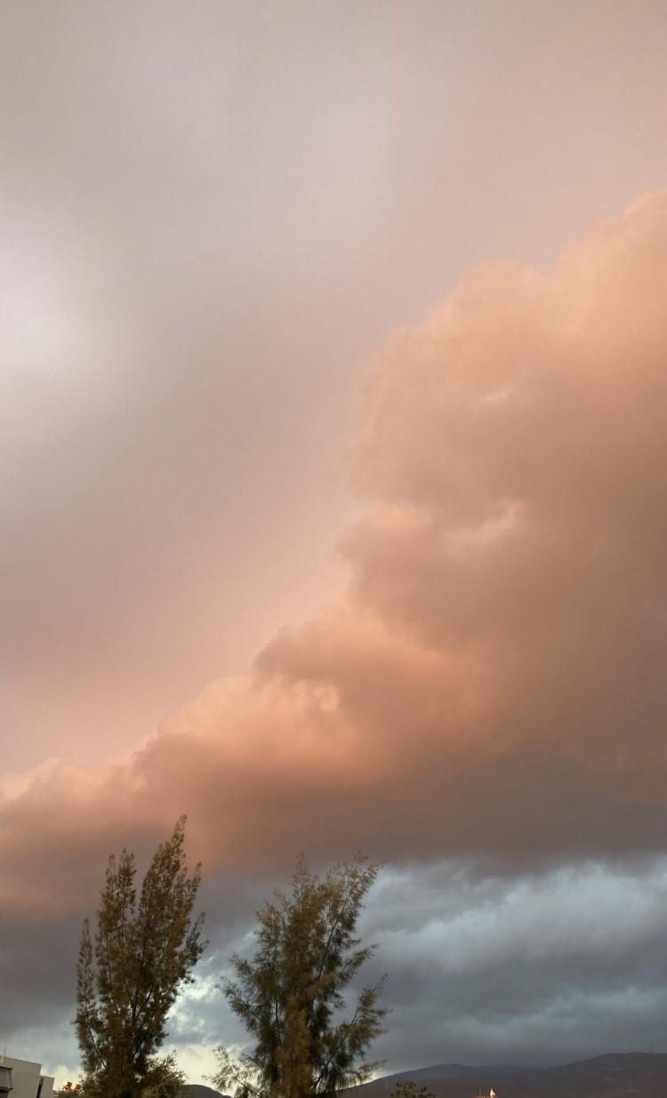 6D760AA3-F5FB-4433-A8ED-7C851C923408.jpeg