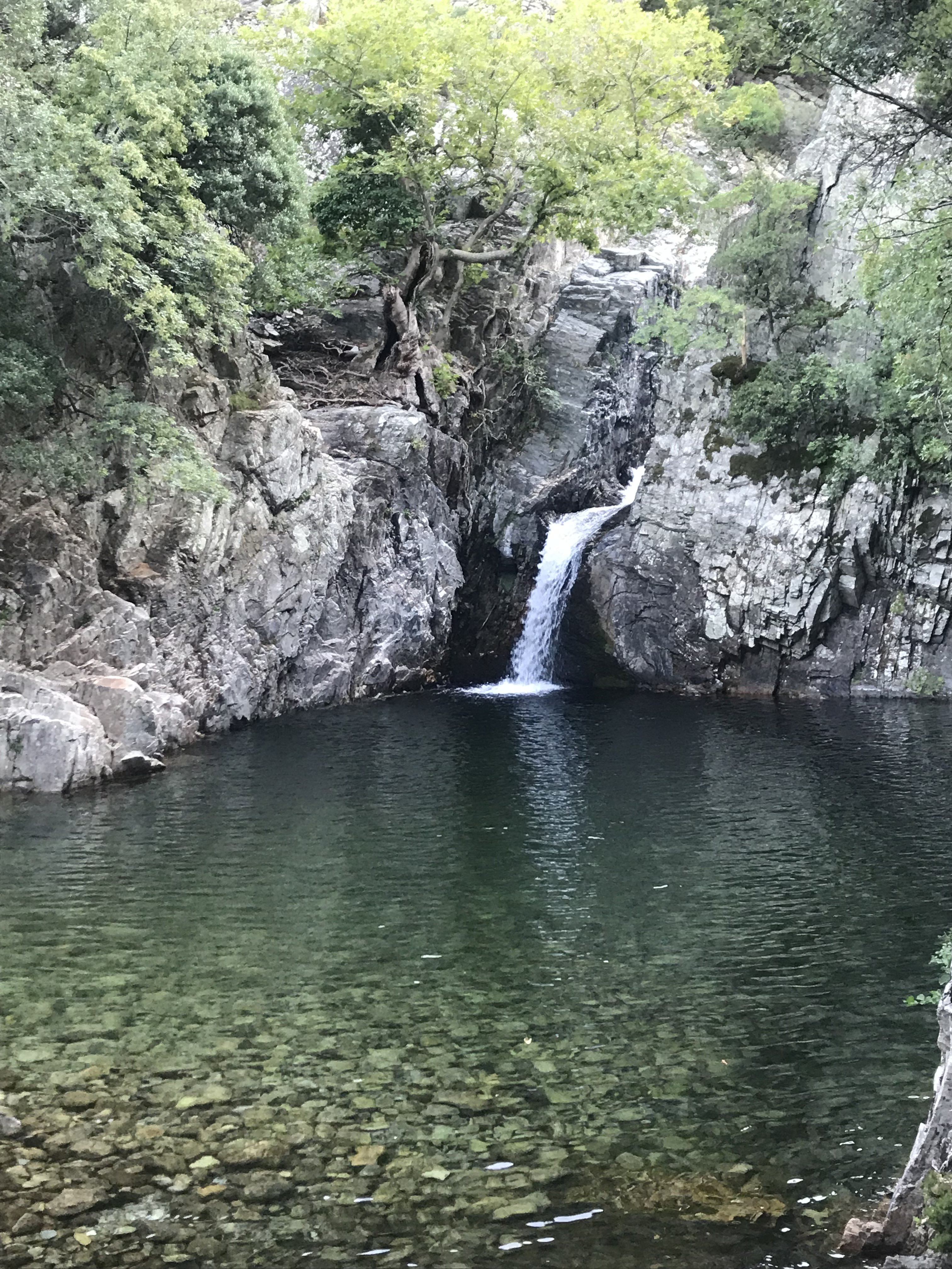 6EEA135F-39A1-4C54-8D0D-4AE19F875141.jpeg